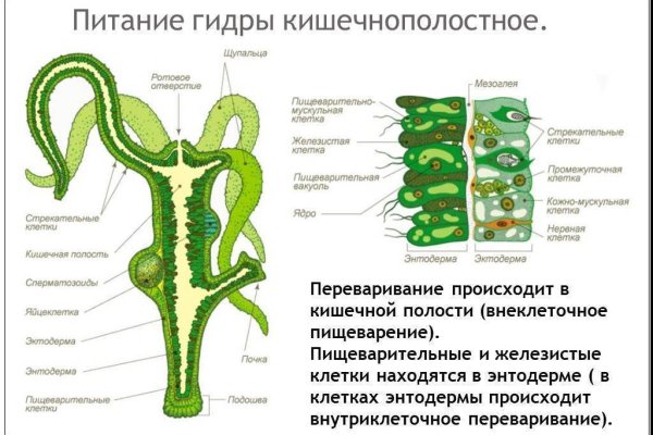 Проблемы со входом на кракен