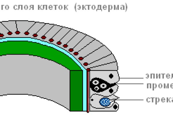 Kraken ссылка тор 2krnk biz kraken17ate pro