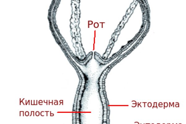 Кракен через впн