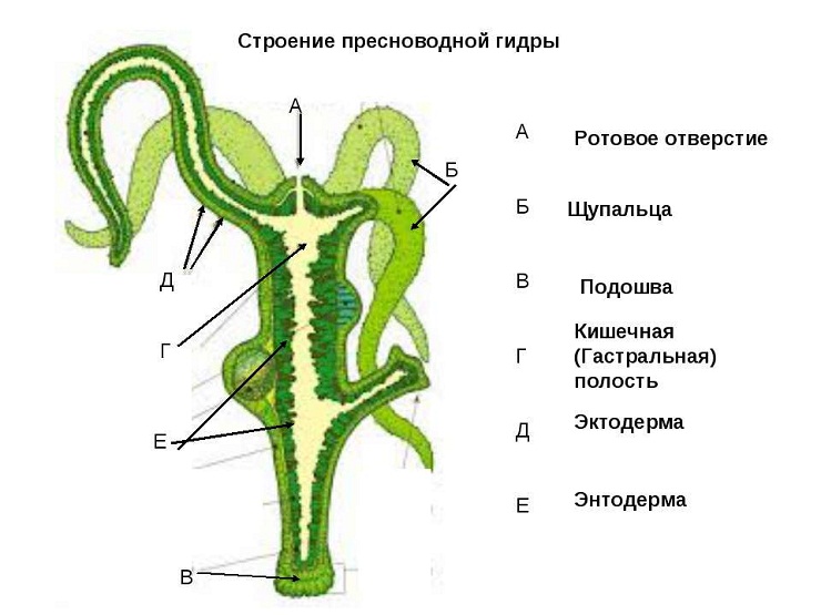 Кракен наркоман